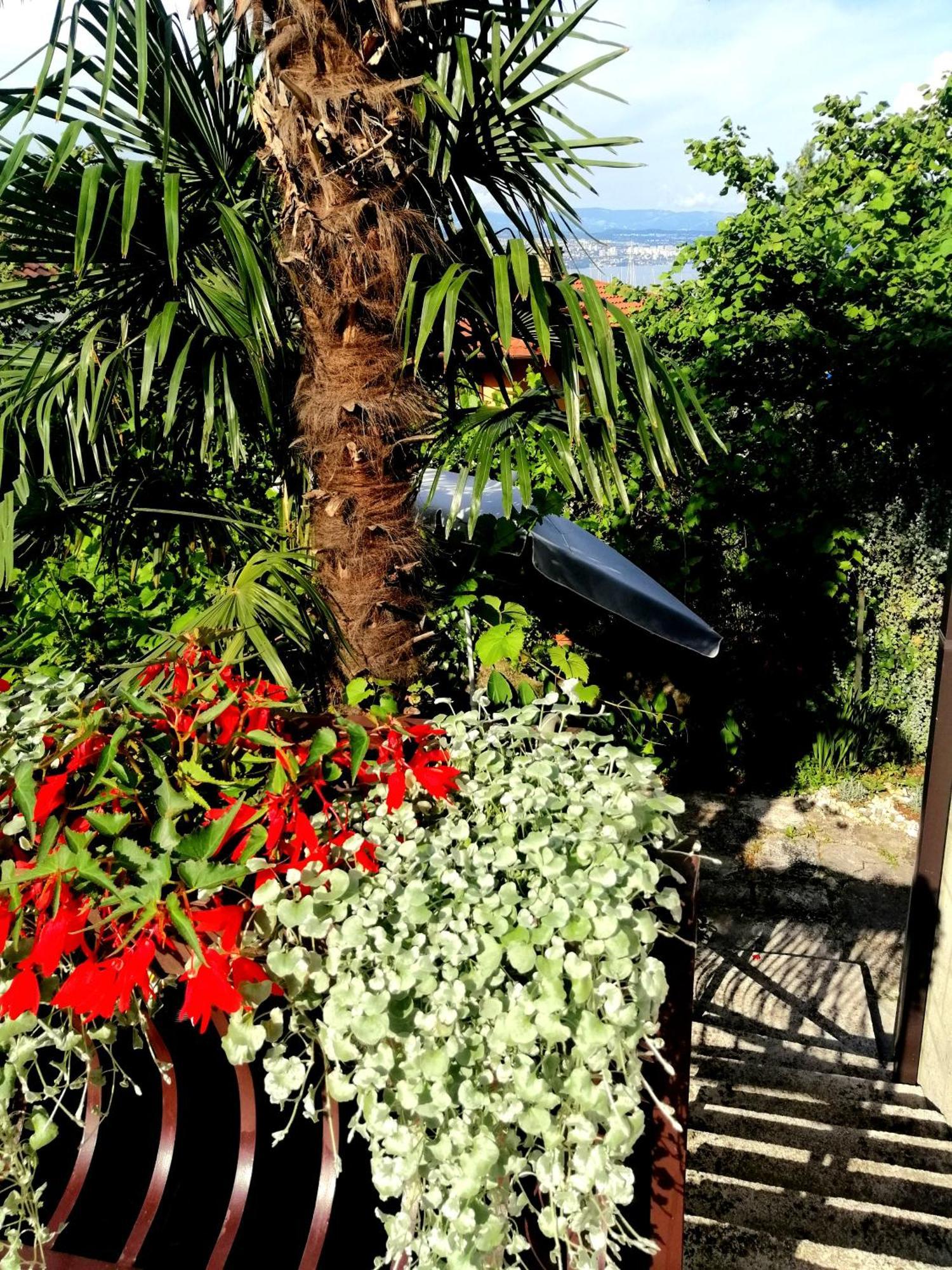 Apartment Sea Garden Ичичи Экстерьер фото